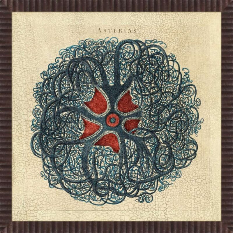 Asterias