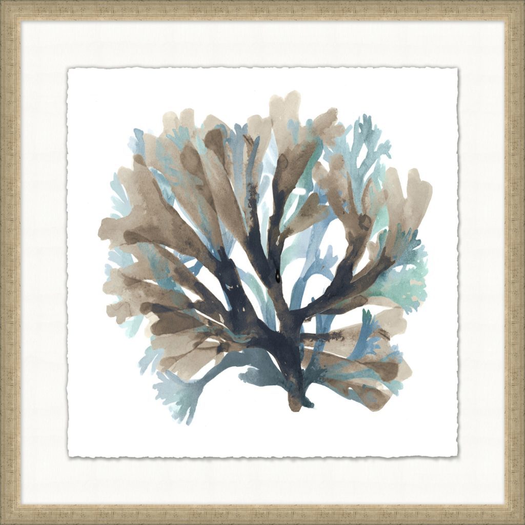 Watercolor Coral 1