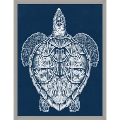 Sea Turtle Silver 1