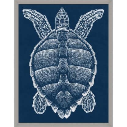 Sea Turtle Silver 2