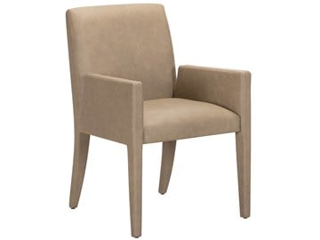 Modern Brume Arm Chair